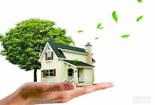 蘇州醛盾環保 專業守護車內與室內空氣健康，打造清新呼吸環境